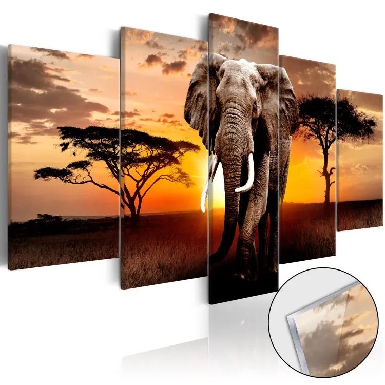 O elefante errante