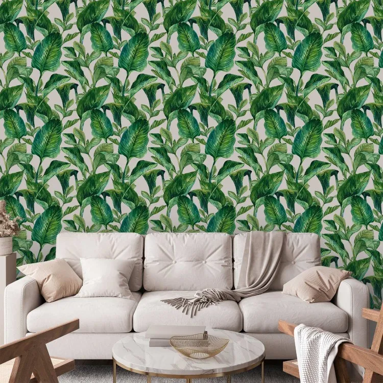 Paraíso tropical