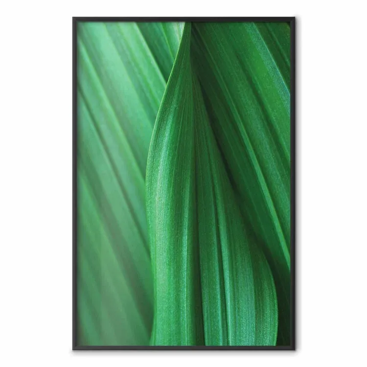 Textura de Folha - composição com motivo vegetal em verde