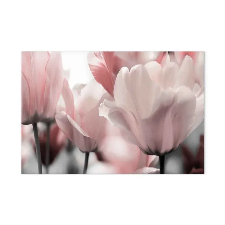 Pétalas de Primavera (1 peça) - Tulipa em Tons de Rosa