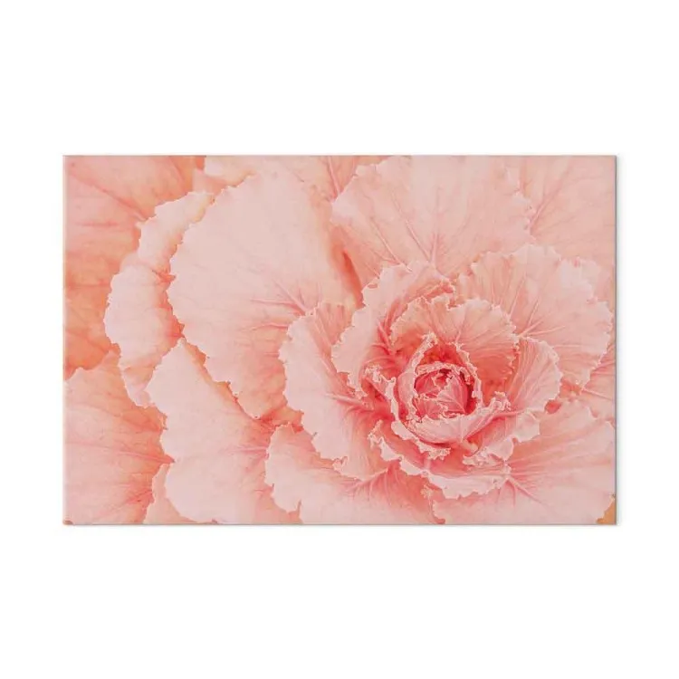 Flor delicada - uma planta subtil em rosa natural.