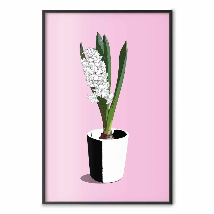 Delicadeza Floral - planta em um vaso em um fundo pastel rosa