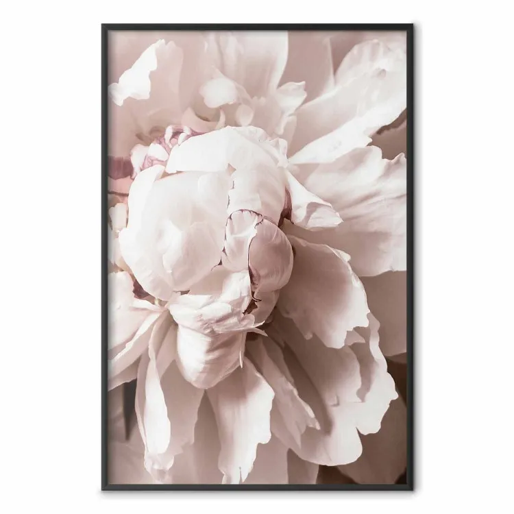 Delicadeza Rítmica - flores rosa claro em uma composição natural
