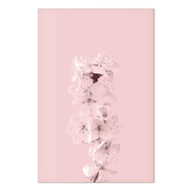 Ramo de Primavera cheio de flores de maçã - composição vegetal rosa
