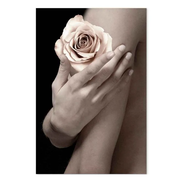 Rosa de chá na palma da mão - foto de mulher com flor na mão