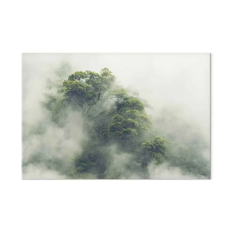 Amazônia Nebulosa (1-parte) largo - paisagem de floresta exótica