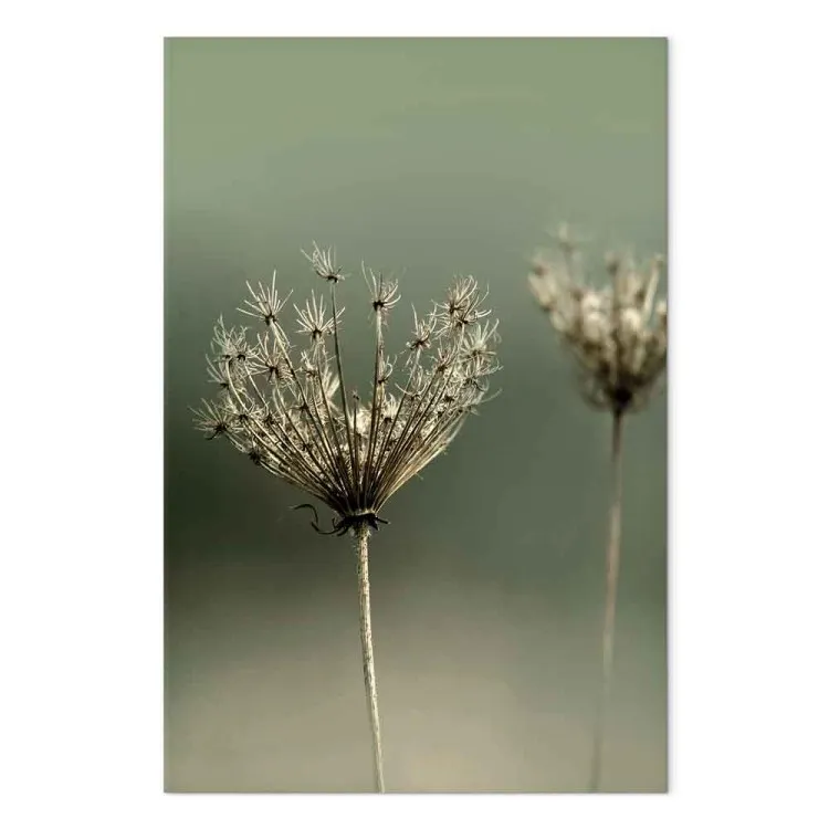 Saudade do Verão Passado (1 peça) Vertical - fotografia de flores