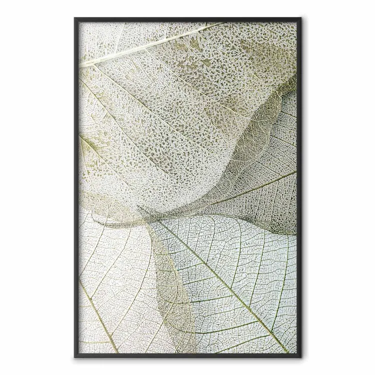 Configuração de Foliagem - composição folhosa com textura distinta