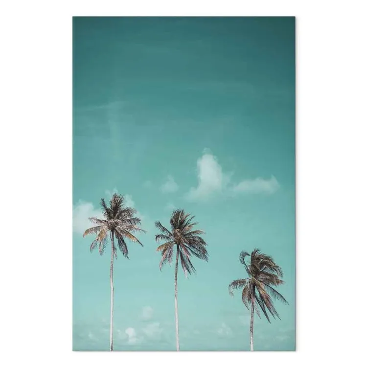 Três palmeiras - imagem de três árvores contra o céu azul