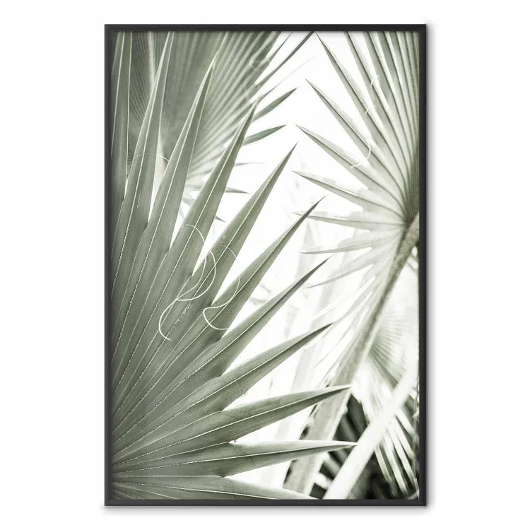Grande Brilho - composição tropical de folhas verdes em um fundo claro