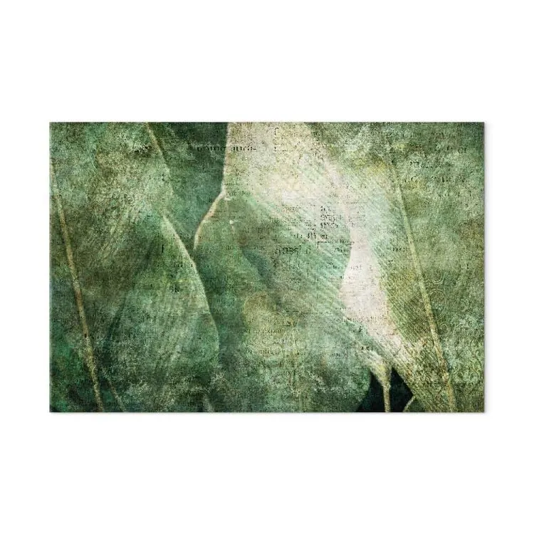 Folhas grandes - imagem esfregada de folhas de uma planta exótica