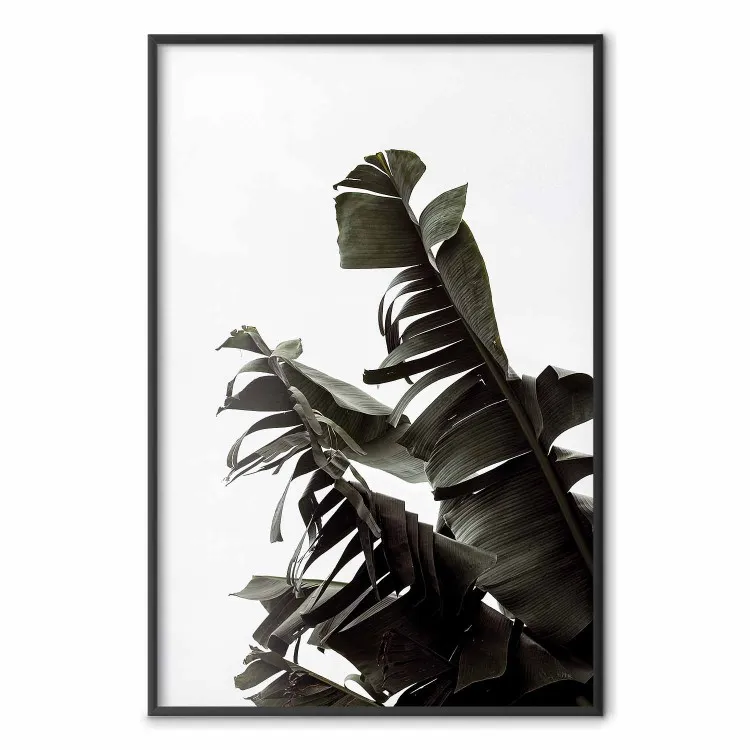 Buquê Tropical - composição natural de folhas verdes em um fundo branco