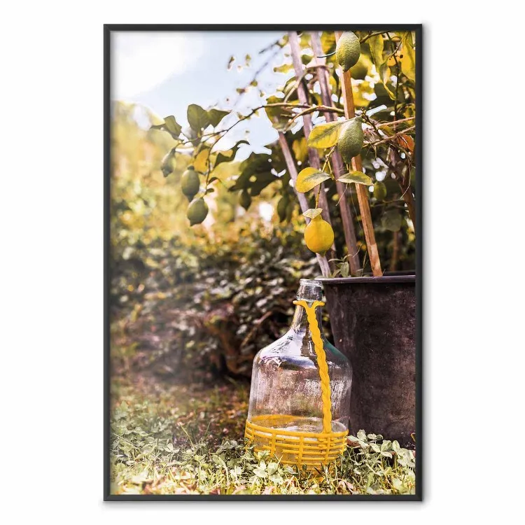 Colheita de Limão - foto quente da natureza com vista para plantas em flor