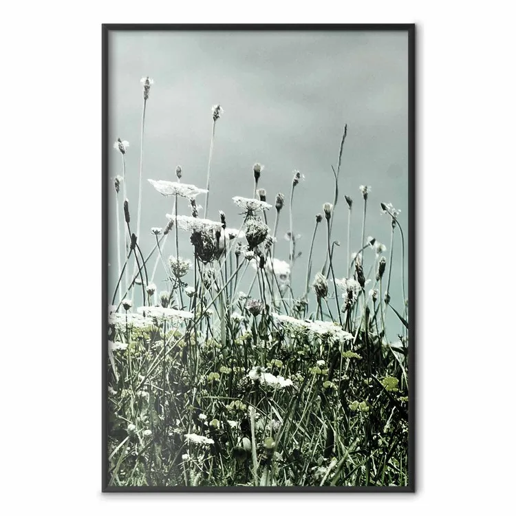 Meio do Verão - paisagem de um prado cheio de flores com céu nublado ao fundo