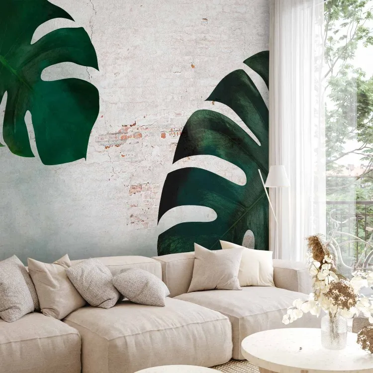 Folhas exóticas - um monstera sobre o fundo de uma parede de tijolo
