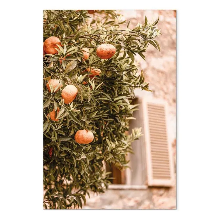 Frutas Urbanas (1 peça) - árvore de tangerina em frente a um edifício
