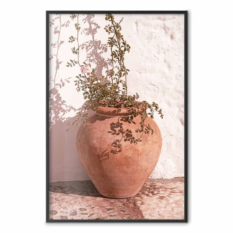 Flores num jarro - planta a crescer num vaso de barro