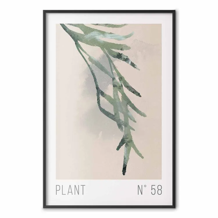 Planta número 58