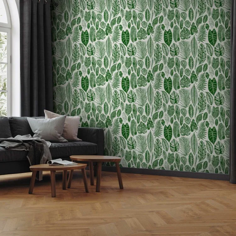 Natureza verde - diferentes espécies e tamanhos de folhas sobre um fundo branco