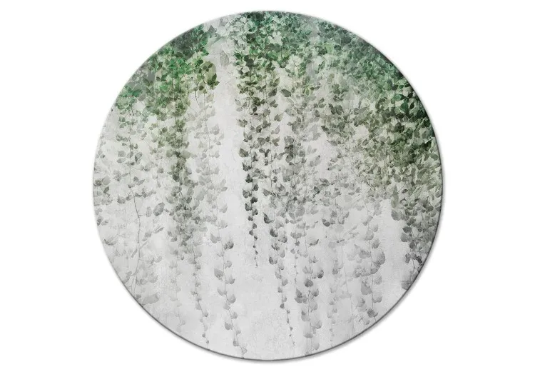 Oásis de paz - composição vegetal com hera numa parede