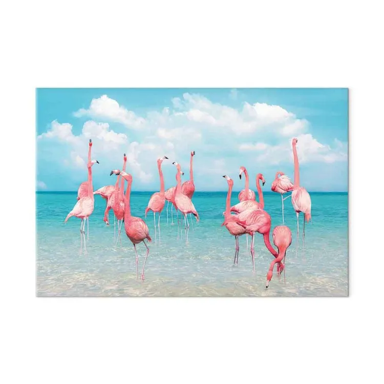 Flamingos tropicais - aves em águas límpidas sob um céu azul