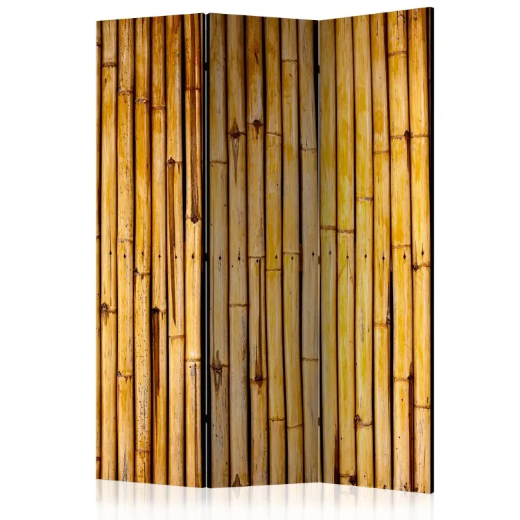 Jardim de Bambu - textura de madeira com bambu em estilo oriental
