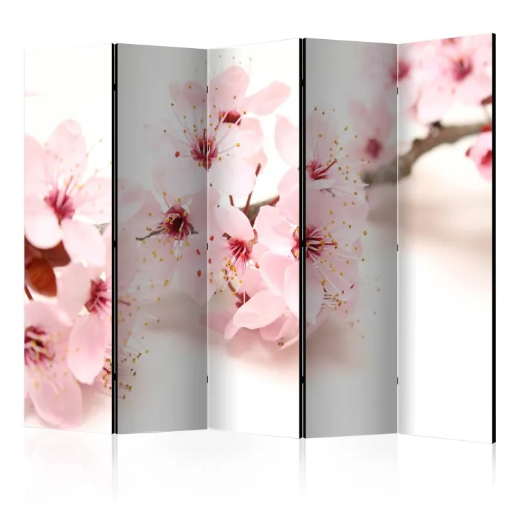 Flor de Cerejeira II - planta rosa em fundo branco em motivo oriental