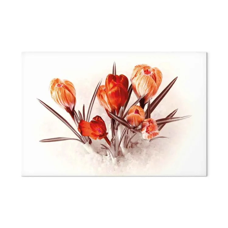 Crocus Vermelhos (1 peça) - Buquê Romântico de Flores de Primavera